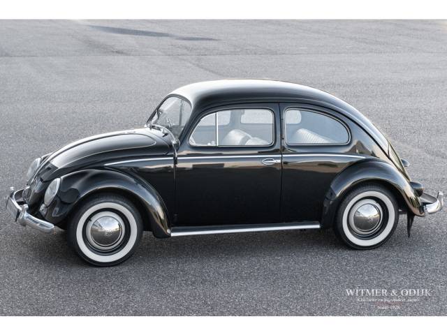 Immagine 1/24 di Volkswagen Beetle 1200 Standard &quot;Oval&quot; (1954)