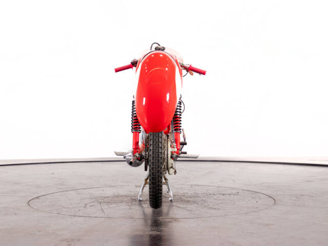 Benelli Leoncino Bassotto