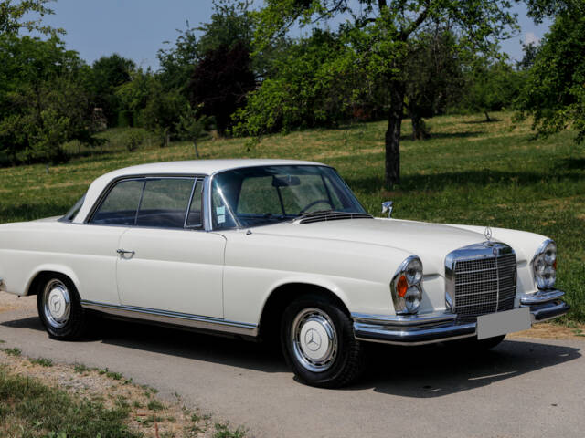 Bild 1/50 von Mercedes-Benz 280 SE 3,5 (1970)