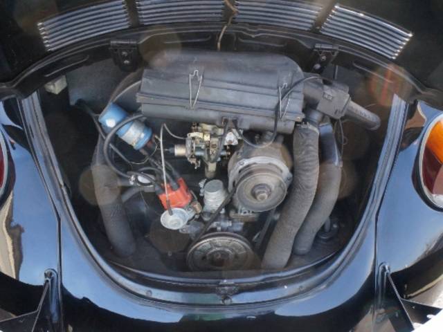 Volkswagen Beetle 1303