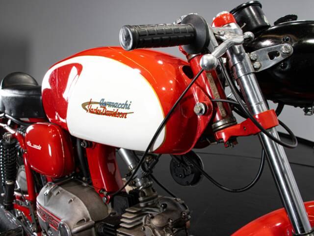 Aermacchi Ala Verde