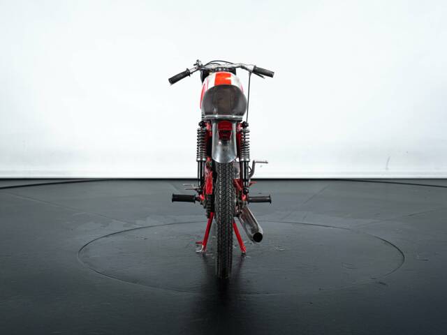 BM Jaguarino 50
