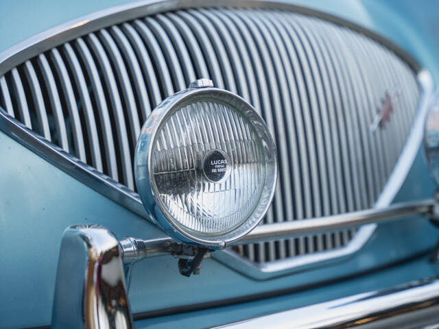 Austin-Healey 100/4 (BN1)