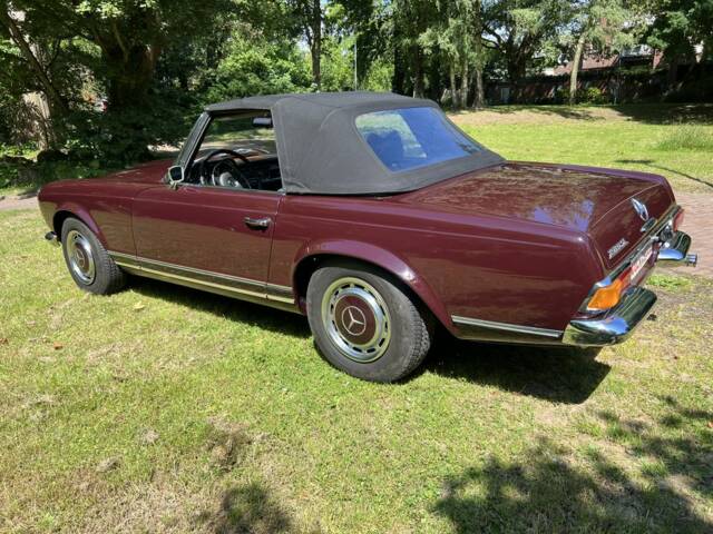 Bild 1/59 von Mercedes-Benz 280 SL (1971)