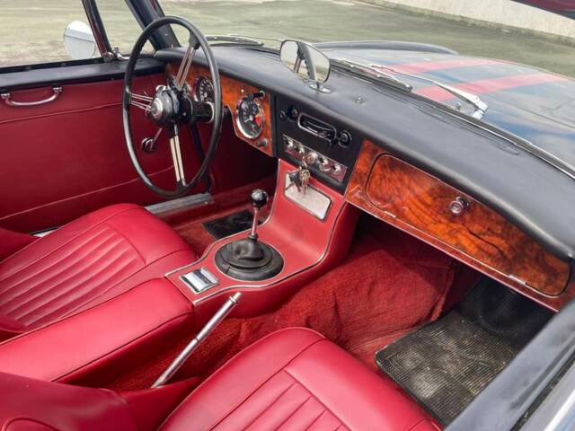 Austin-Healey 3000 Mk III (BJ8)