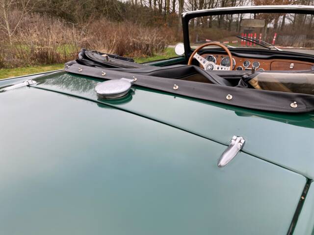 Triumph TR 4
