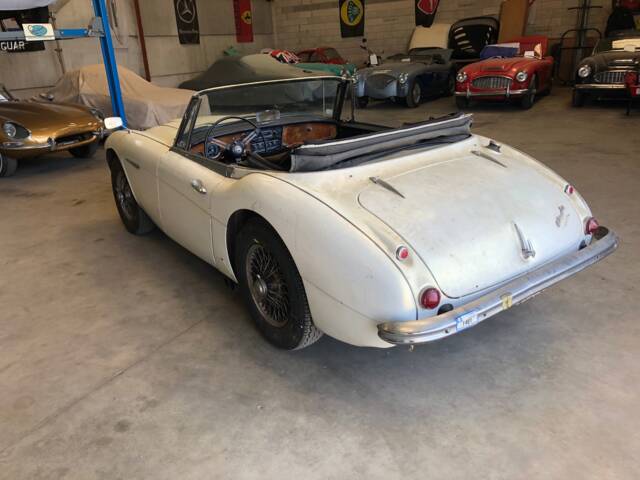 Austin-Healey 3000 Mk III (BJ8)
