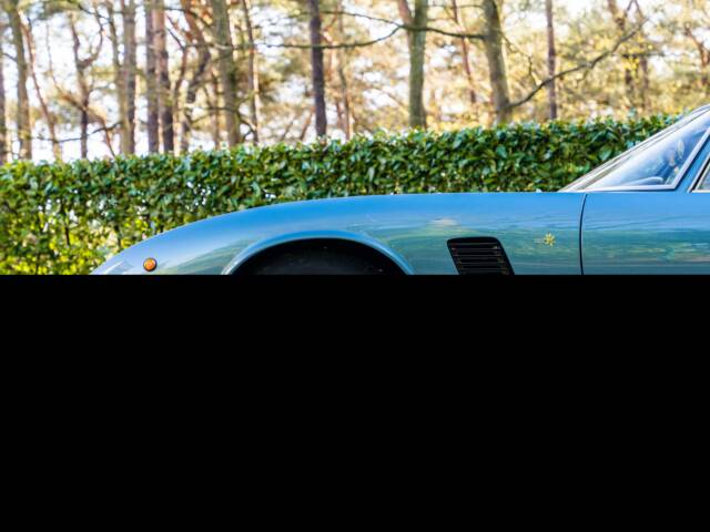 ISO Grifo