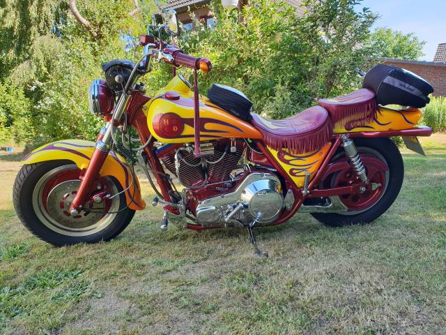 Bild 1/23 von Harley-Davidson DUMMY (1987)