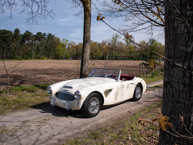 Austin-Healey 100/6 (BN4)