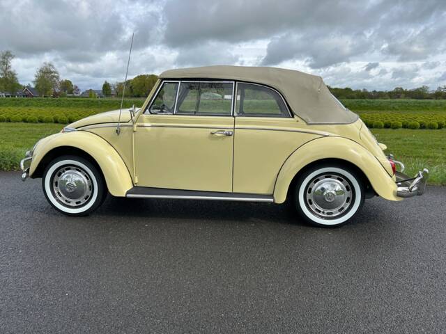 Image 1/15 of Volkswagen Beetle 1300 (1966)