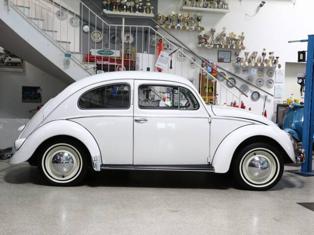 Volkswagen Beetle 1200 Export "Oval"