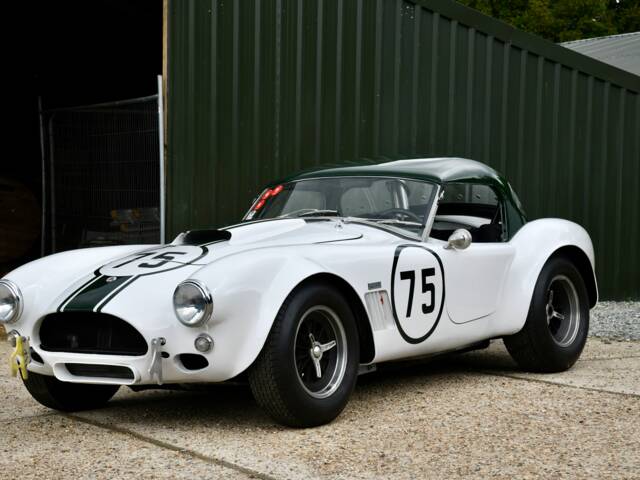 Immagine 1/9 di AC Shelby Cobra 289 (1960)