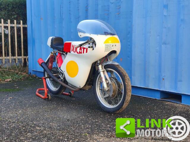 Bild 1/10 von Ducati DUMMY (1968)