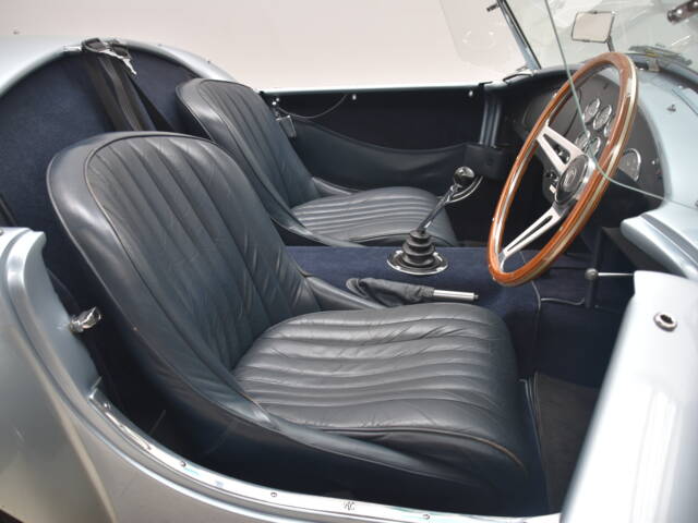 AC Sports 289