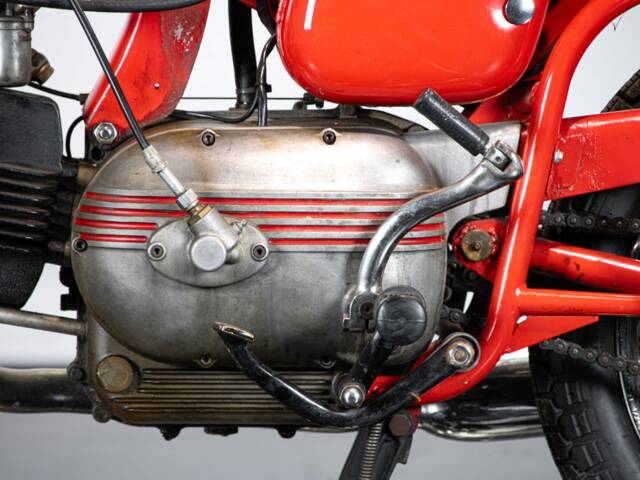 Aermacchi Ala Verde