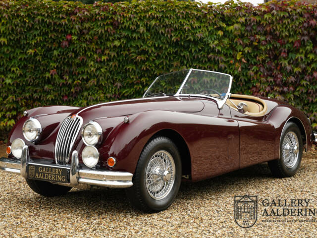 Image 1/50 of Jaguar XK 140 SE-C OTS (1956)