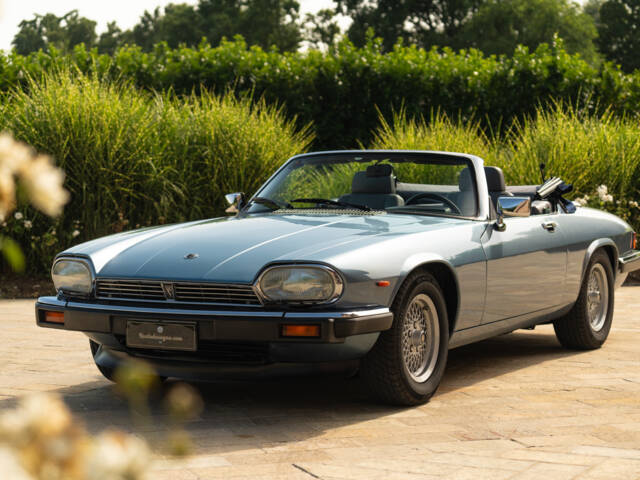 Image 1/50 de Jaguar XJS 5.3 V12 (1991)