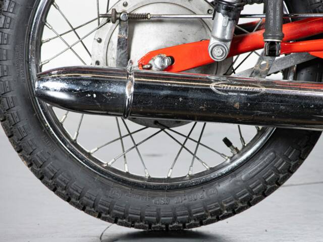Aermacchi Ala Verde