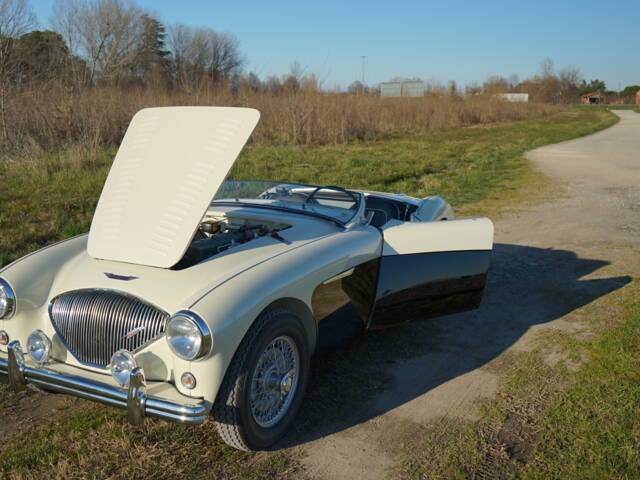 Austin-Healey 100/4 (BN2)