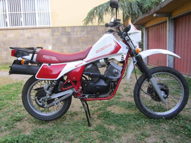 Camel 500
