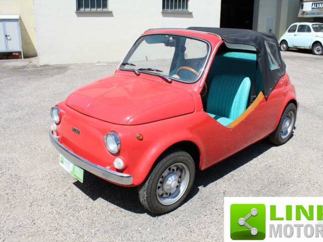Image 1/10 of FIAT Ghia 500 Jolly (1967)
