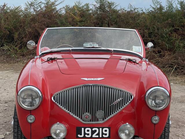 Austin-Healey 100/4 (BN1)