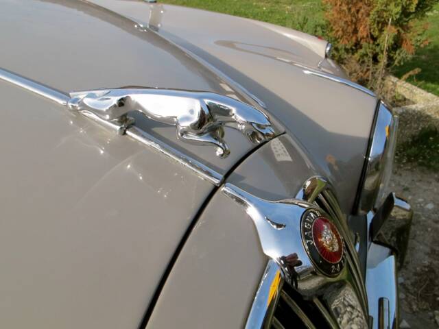 Jaguar 240
