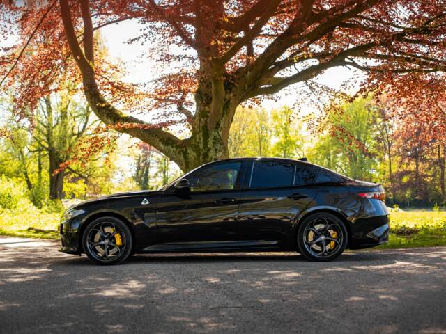 Alfa Romeo Giulia Quadrifoglio