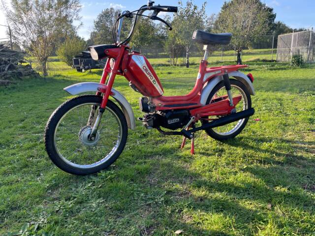 Rizzato Califfo 80
