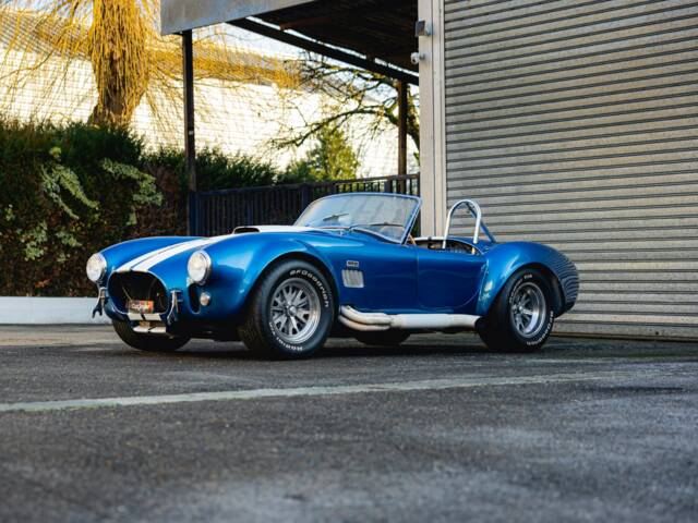 Image 1/68 de Shelby Cobra 289 (1966)