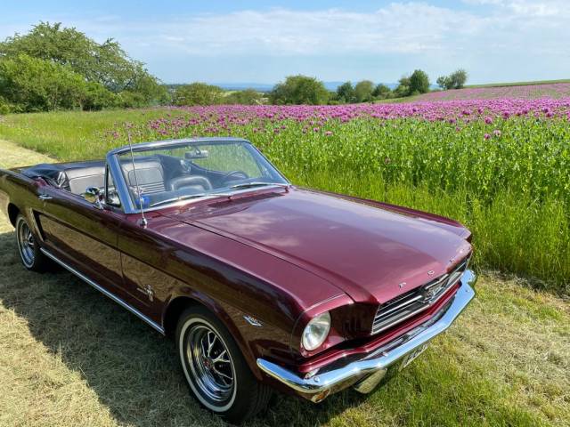 Ford Mustang 260