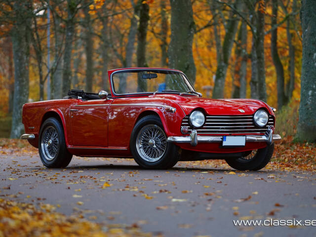 Bild 1/27 von Triumph TR 5 PI (1968)