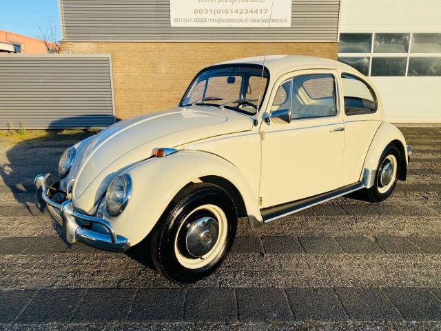 Bild 1/25 von Volkswagen Beetle 1200 (1968)
