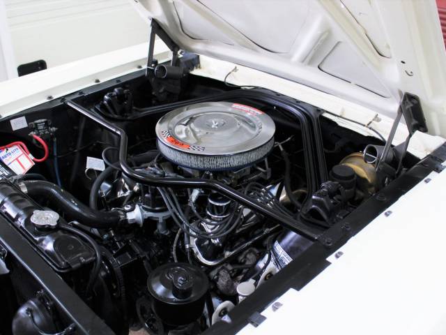 Ford Mustang 289