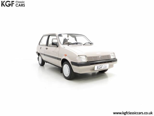 Immagine 1/30 di Austin Metro (1989)