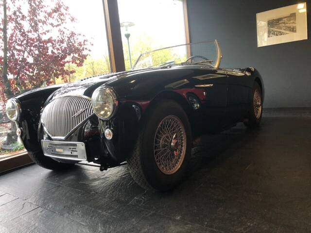 Austin-Healey 100/4 (BN1)