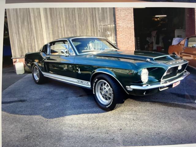 Imagen 1/12 de Ford Shelby GT 500 (1968)