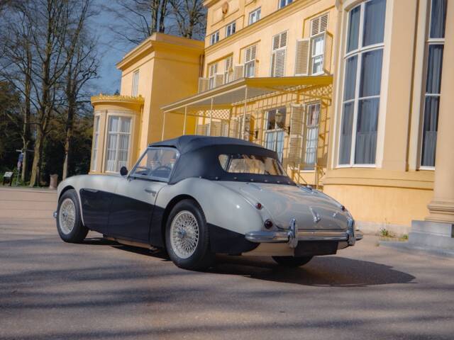 Austin-Healey 100/6 (BN4)