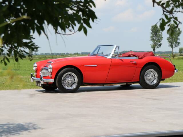 Austin-Healey 3000 Mk III (BJ8)