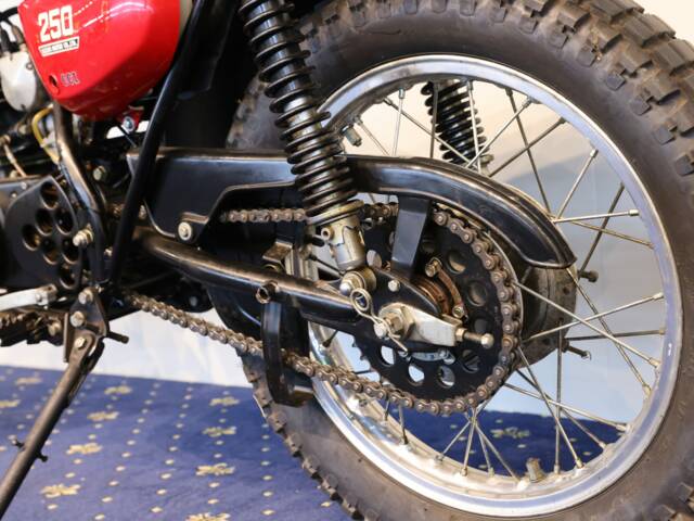 Suzuki TS 250