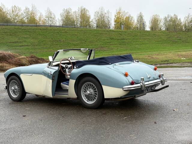 Austin-Healey 3000 Mk III (BJ8)