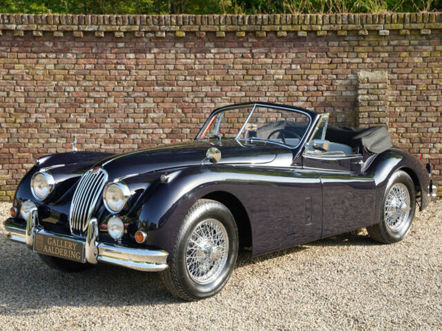 Bild 1/50 von Jaguar XK 140 DHC (1954)