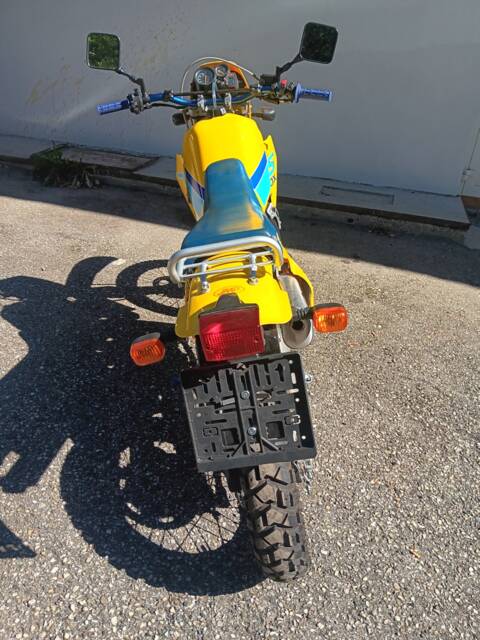 Suzuki TS 250X