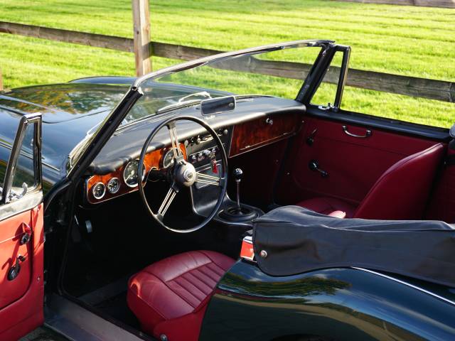 Austin-Healey 3000 Mk III (BJ8)