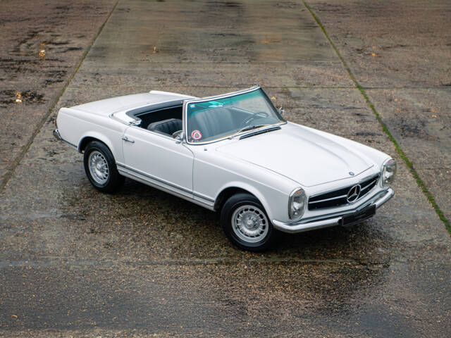 Immagine 1/26 di Mercedes-Benz 230 SL (1965)