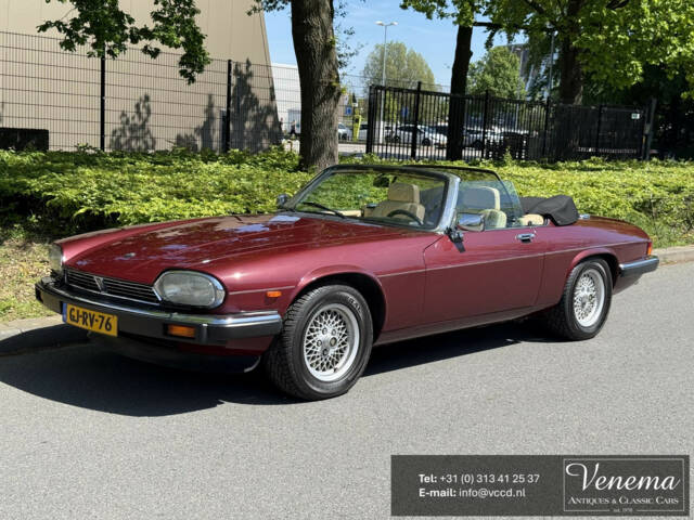 Imagen 1/17 de Jaguar XJS 5.3 V12 (1989)