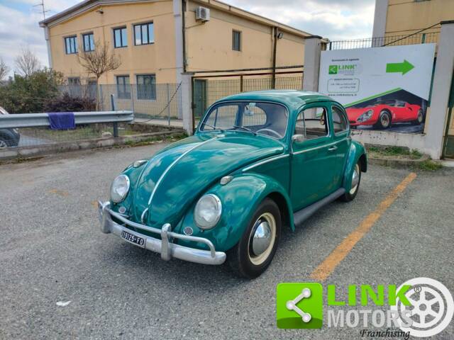 Image 1/10 de Volkswagen Coccinelle 1200 A (1965)