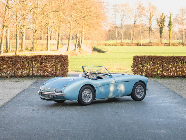 Austin-Healey 100/4 (BN1)