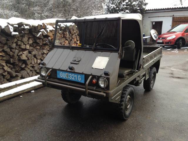 Image 1/5 de Steyr-Puch Haflinger (1961)